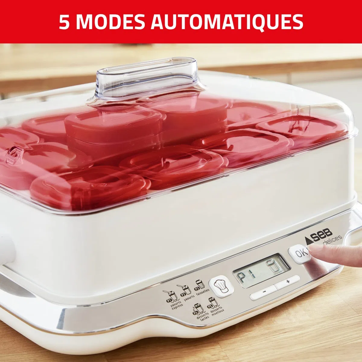 Seb Yaourtière 12 pots, Pots verre 140 ml, 5 programmes automatiques, Sans BPA, Compact, Yaourt maison & XF102000 Delices Box Coffret de Six Bouteilles Yaourt à Boire