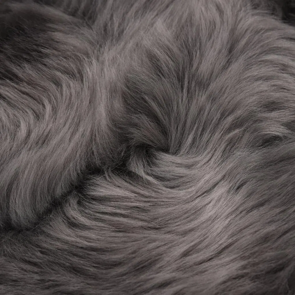 Tapis en peau de mouton - 60 x 90 cm - Gris clair - À poils longs et moelleux - Pour chambre à coucher - Tapis de zone doux - Décoration confortable - En peau d'agneau véritable